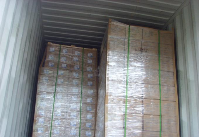 Galvanized Steel One Hole Straps Conduit And Fittings BS Conduit Clip